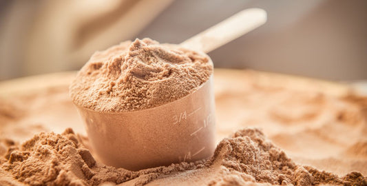 BCAAs Demystified: How They Support Muscle Growth and Recovery