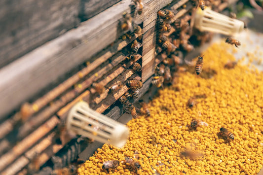 Unveiling the Remarkable Health Benefits of Bee Pollen